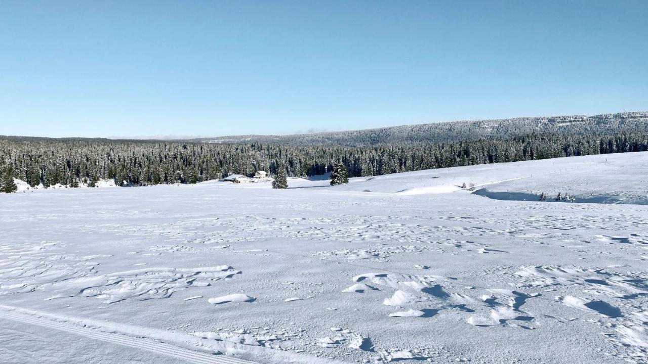 Appartement Ideal Pour Ete Et Hiver, Situe Au Pied Des Pistes De Ski Et Des Sentiers De Randonnee Prémanon 외부 사진